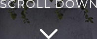 SCROLL DOWN