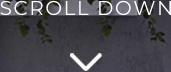 SCROLL DOWN